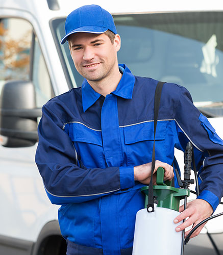 System • Image and Text